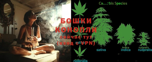 крисы Аркадак