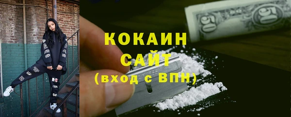 МДПВ Пересвет