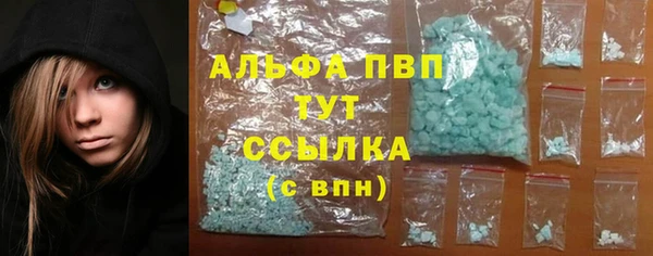 крисы Аркадак