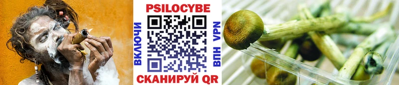 купить   Сосногорск  Псилоцибиновые грибы MAGIC MUSHROOMS 